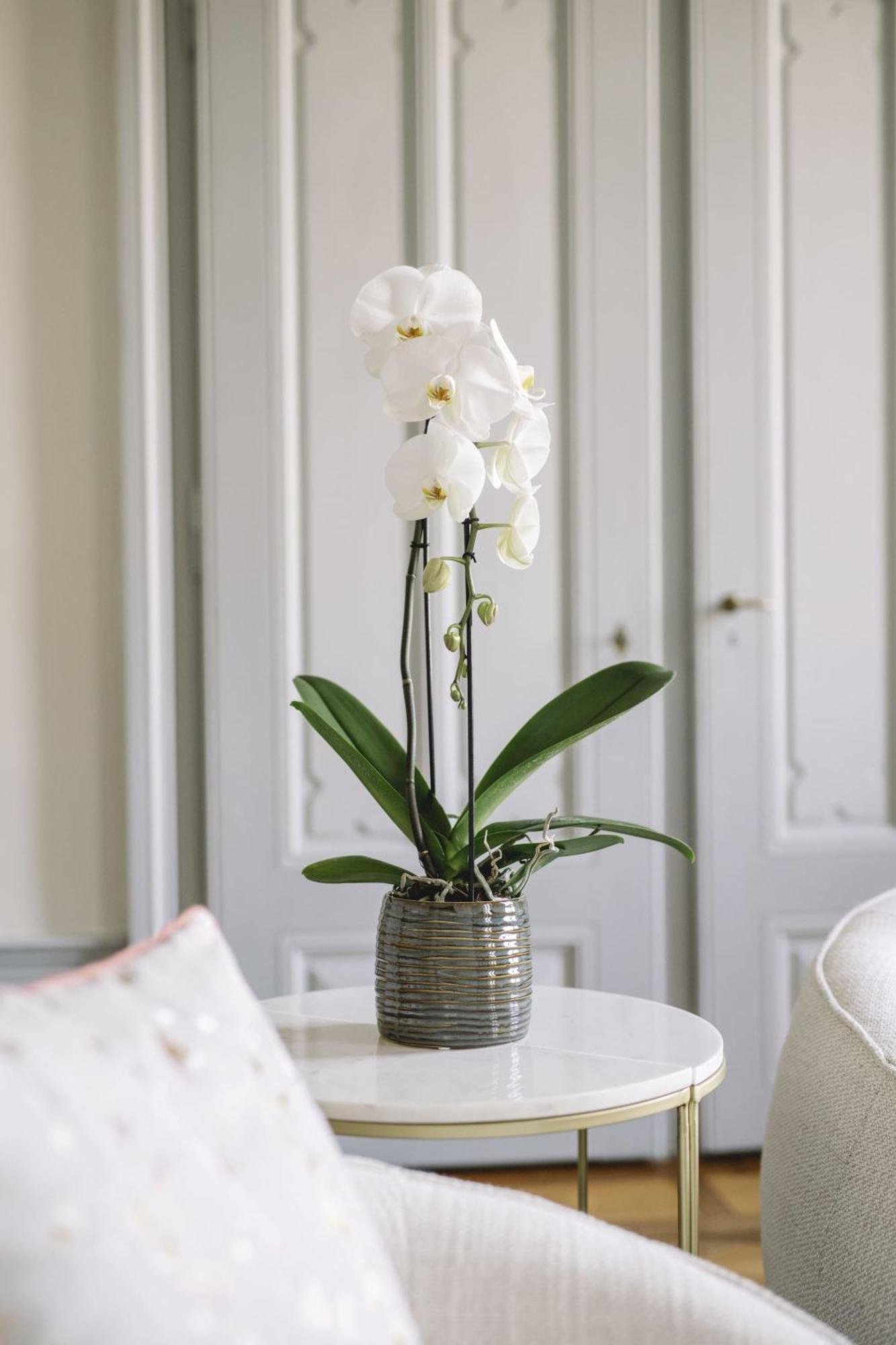 Chateau De L'Aile- Boutique Suites Βεβέ Εξωτερικό φωτογραφία
