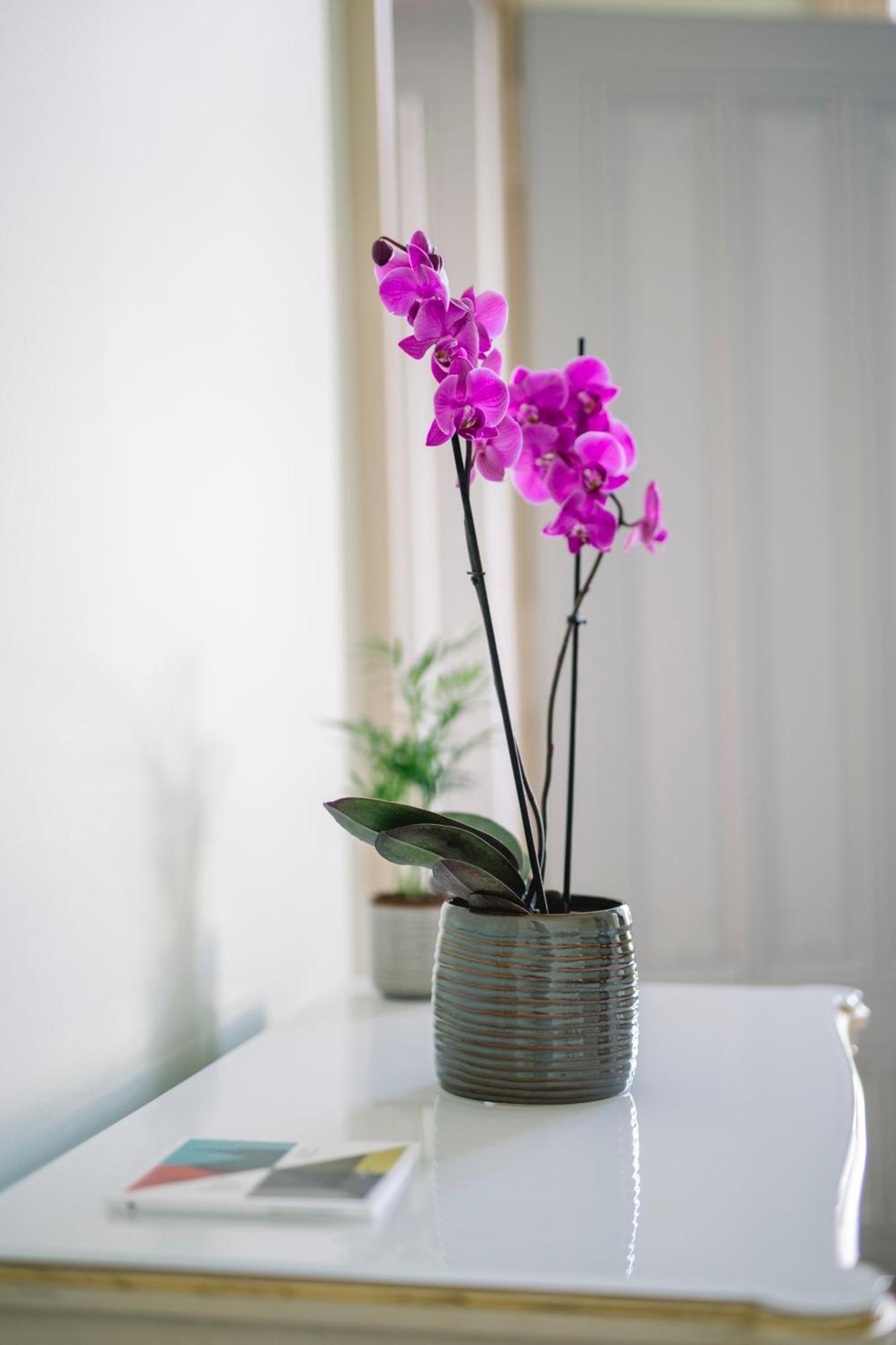 Chateau De L'Aile- Boutique Suites Βεβέ Εξωτερικό φωτογραφία
